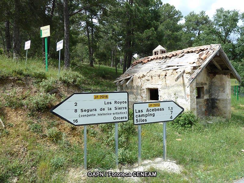 Sierras de Cazorla, Segura y las Villas