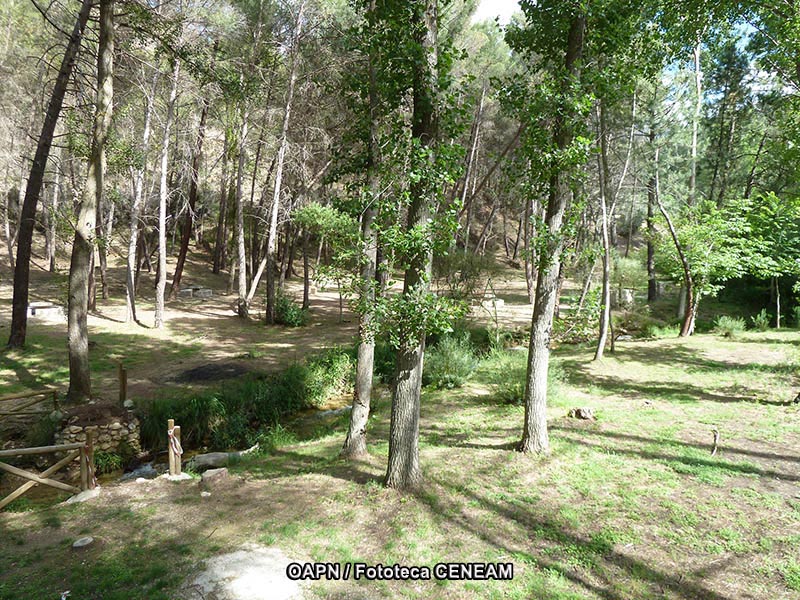 Sierras de Cazorla, Segura y las Villas