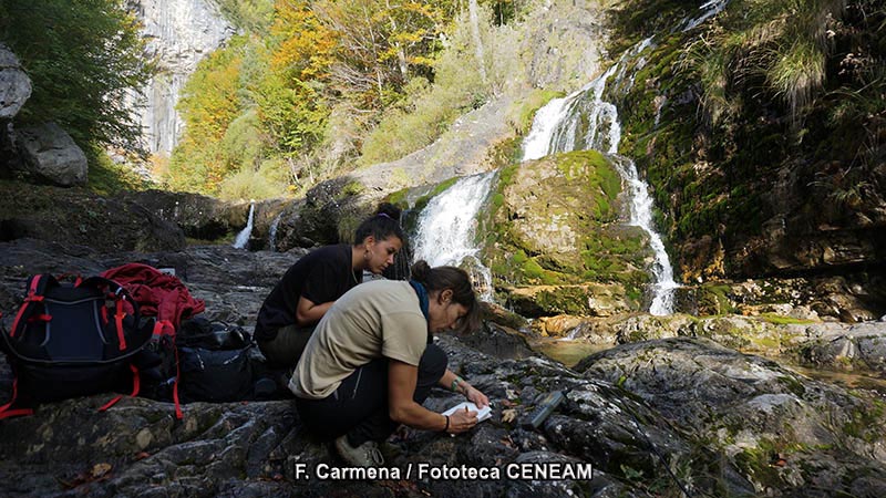 Ordesa y Monte Perdido