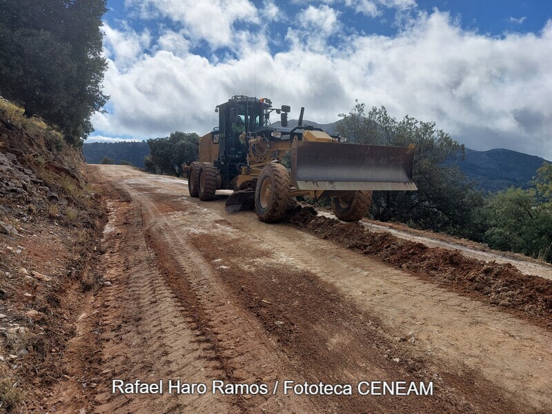 Sierra de las Nieves