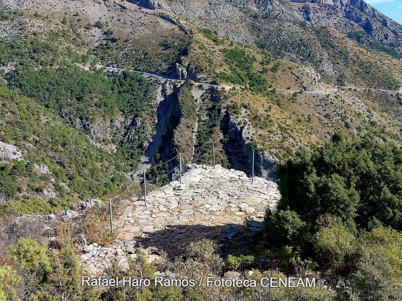 Sierra de las Nieves