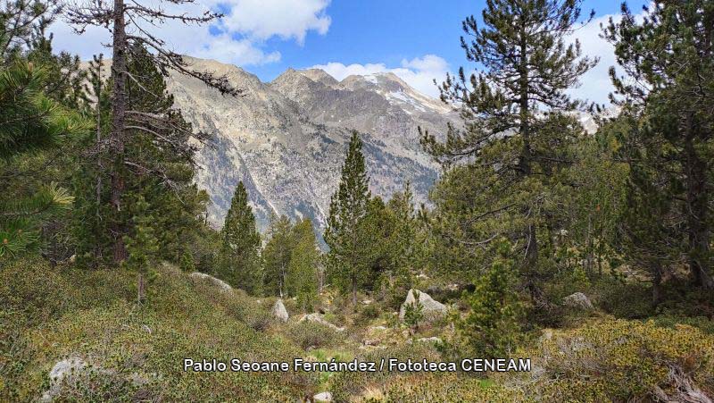 Aigüestortes i Estany de Sant Maurici