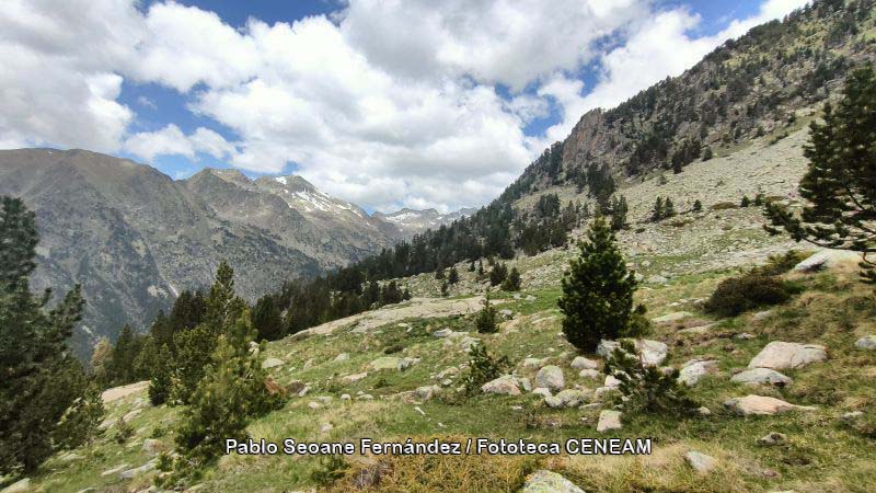 Aigüestortes i Estany de Sant Maurici