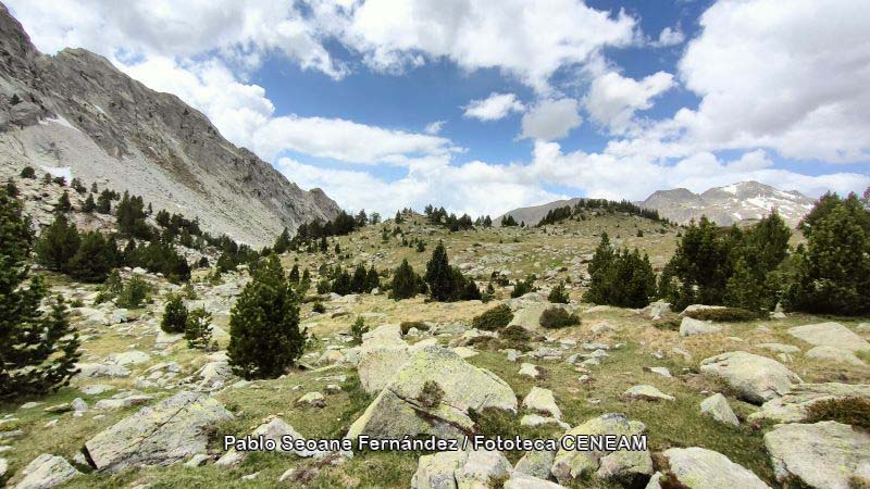 Aigüestortes i Estany de Sant Maurici