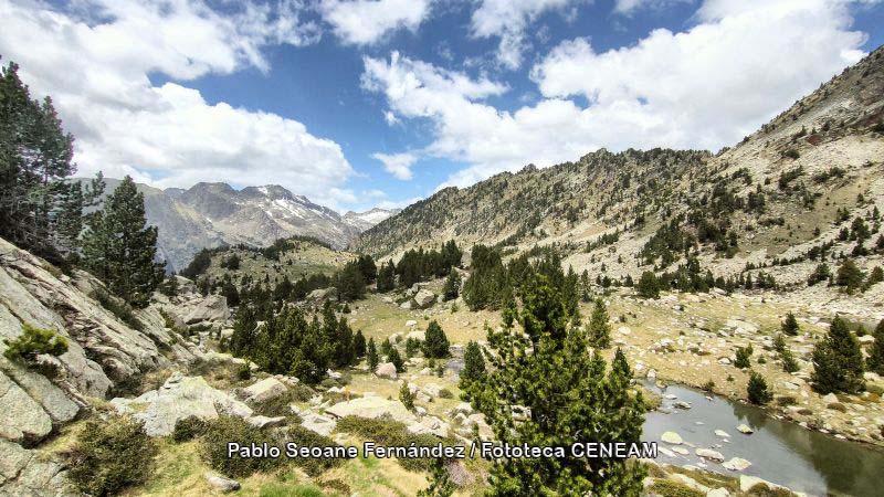 Aigüestortes i Estany de Sant Maurici