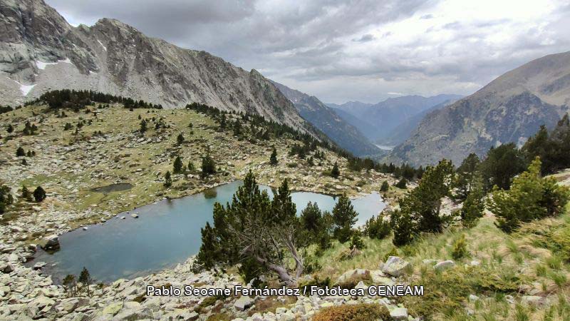 Aigüestortes i Estany de Sant Maurici