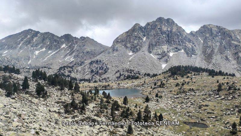 Aigüestortes i Estany de Sant Maurici