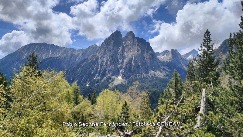 Aigüestortes i Estany de Sant Maurici