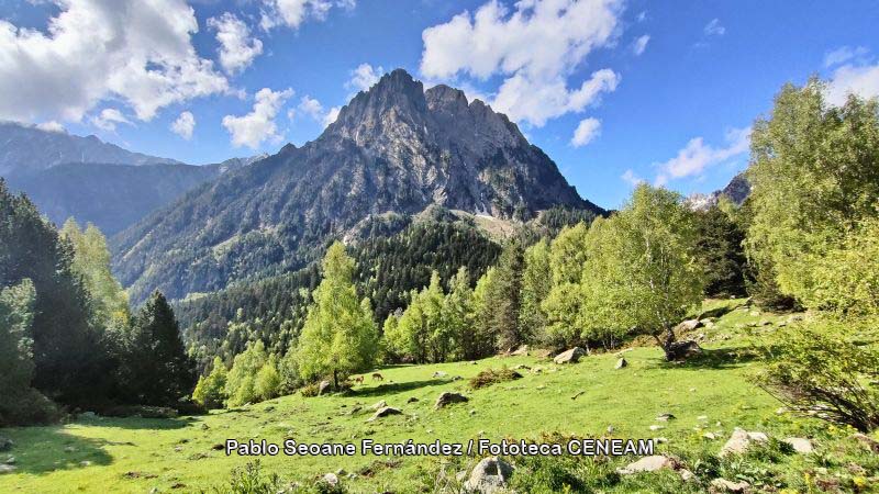 Aigüestortes i Estany de Sant Maurici