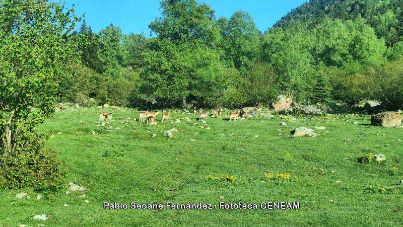 Aigüestortes i Estany de Sant Maurici