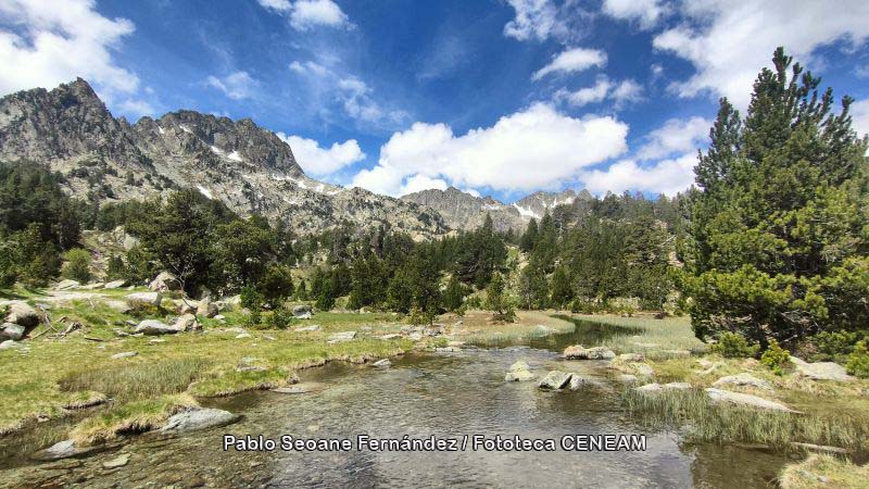 Aigüestortes i Estany de Sant Maurici