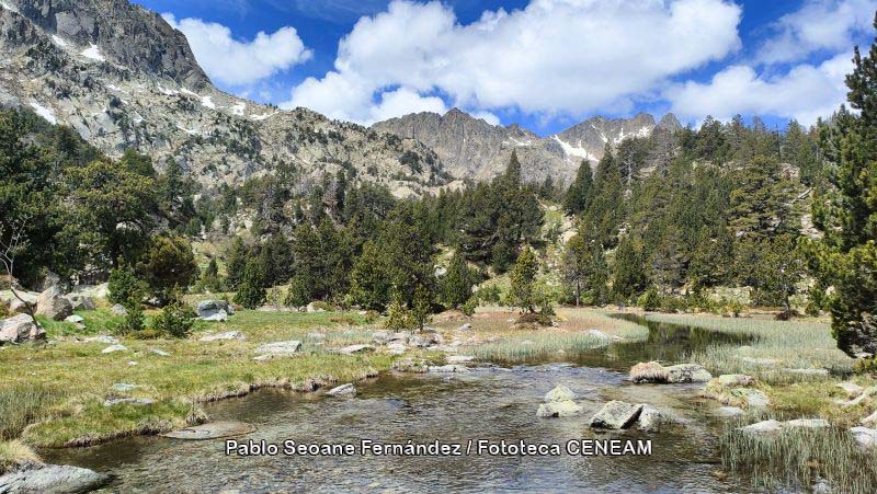 Aigüestortes i Estany de Sant Maurici