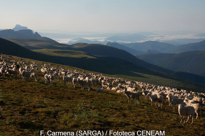 Ordesa y Monte Perdido