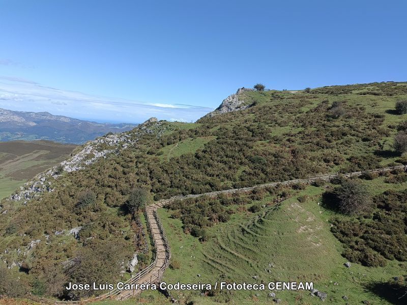 Picos de Europa