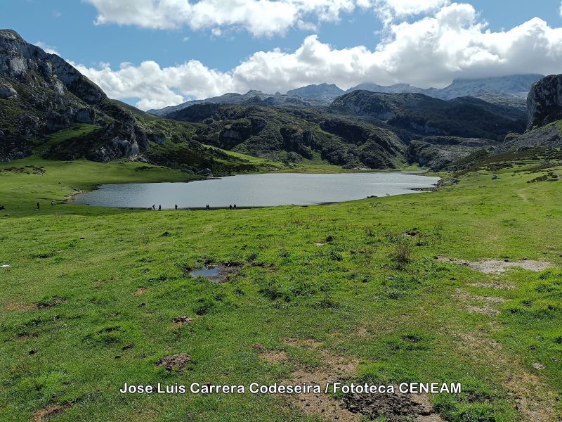 Picos de Europa