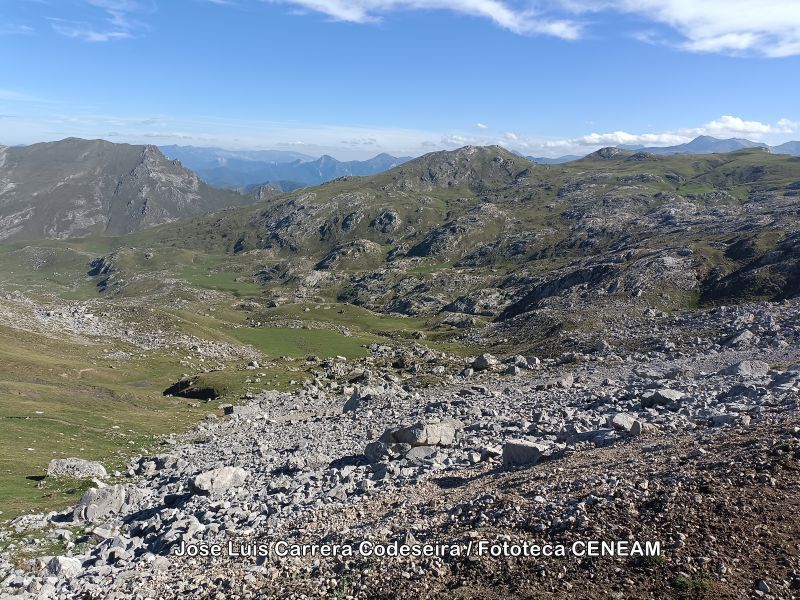 Picos de Europa