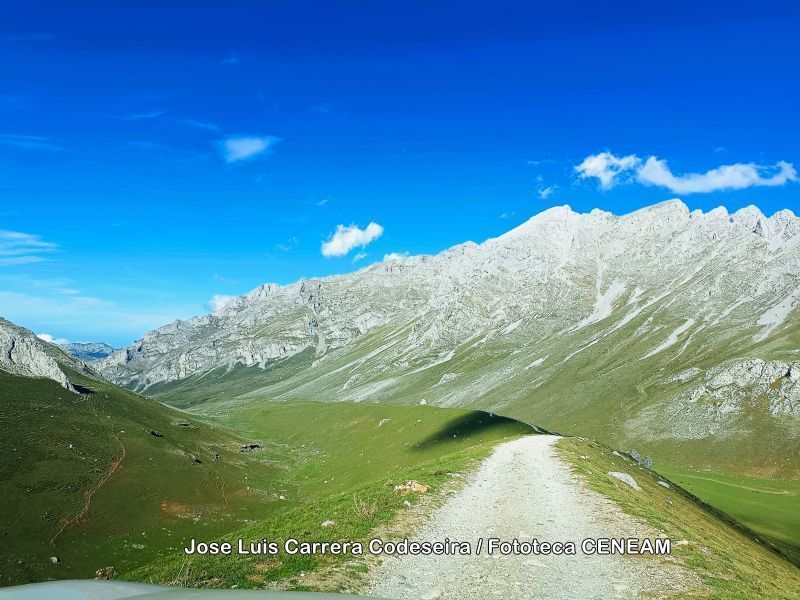 Picos de Europa