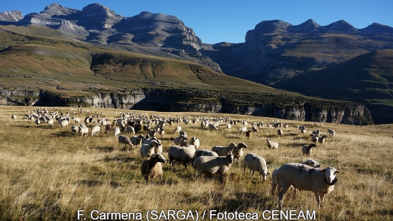 Ordesa y Monte Perdido