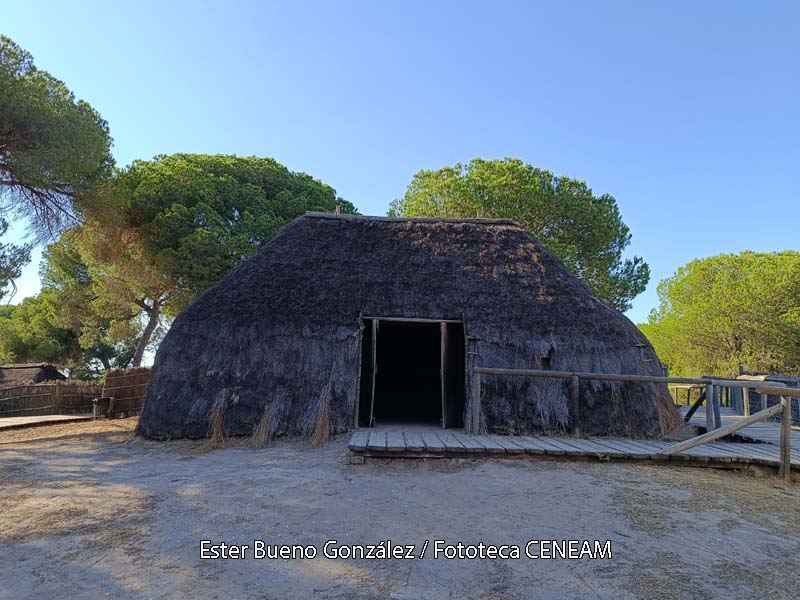 Doñana