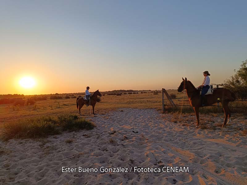 Doñana