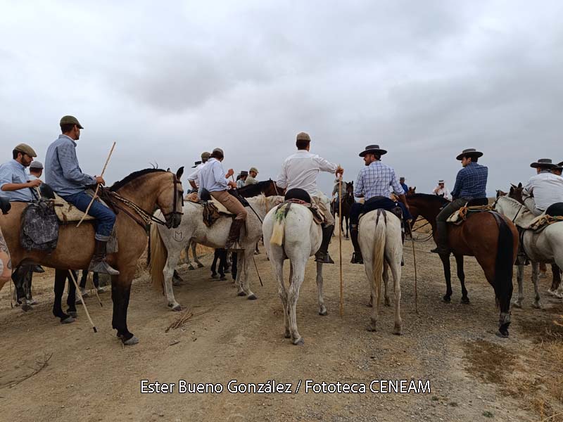 Doñana