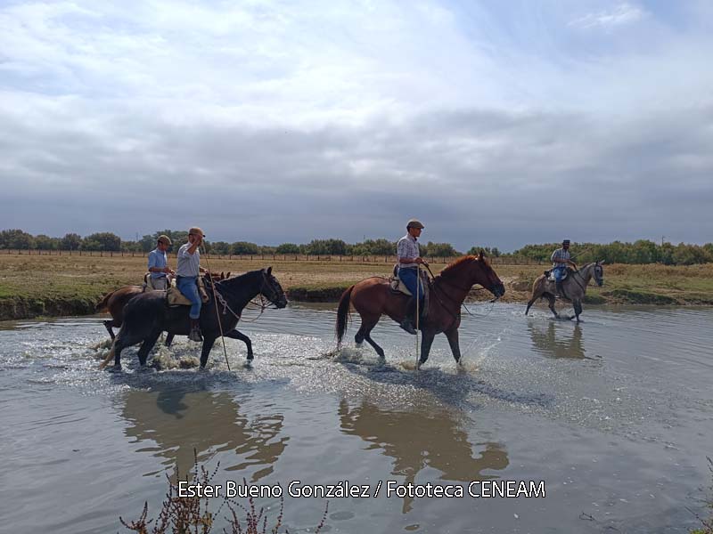 Doñana