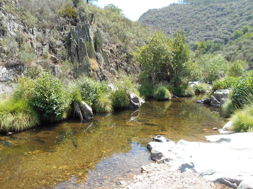 Tramo de la reserva natural fluvial Alto Agadón que forma una tabla por la escasa pendiente