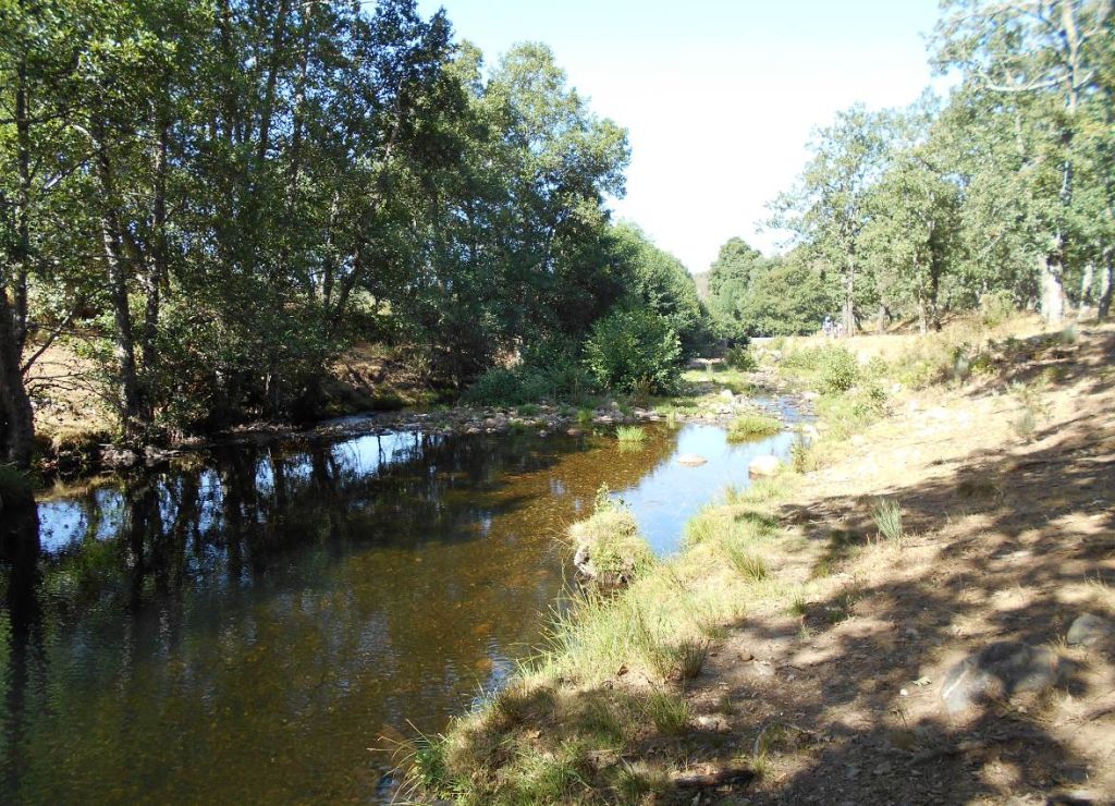 Continuidad longitudinal interrumpida en la reserva natural fluvial Alto Agadón por presiones antrópicas (zona recreativa)