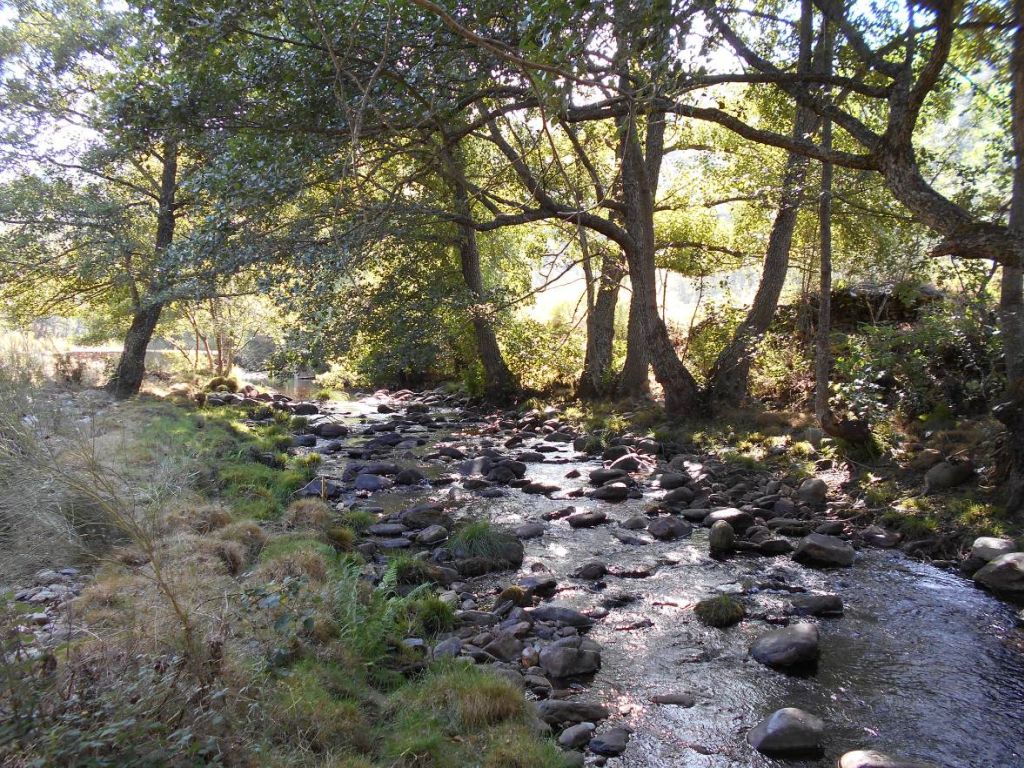 Granulometría de sedimentos gruesa, dominada por gravas, bloques y cantos en la reserva natural fluvial Alto Agadón