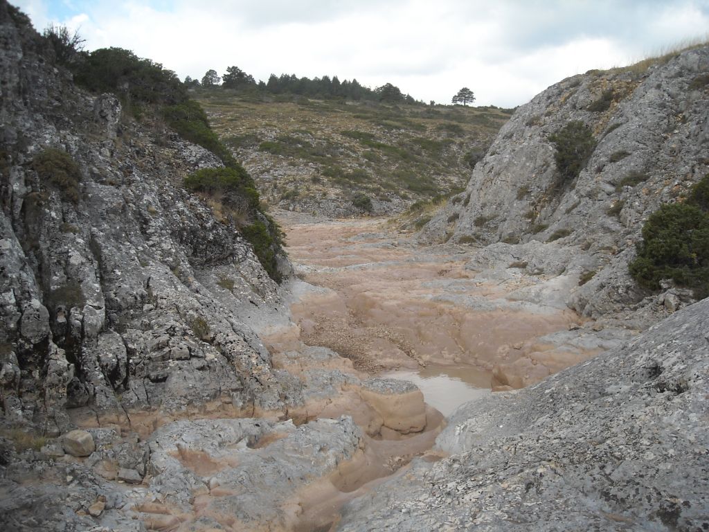 Pequeñas charcas persisten al verano en la reserva natural fluvial Arroyo los Huecos