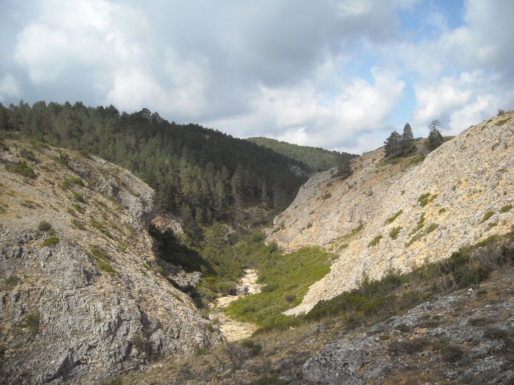 Sabinas rastreras ocupan el cauce de la reserva natural fluvial Arroyo los Huecos