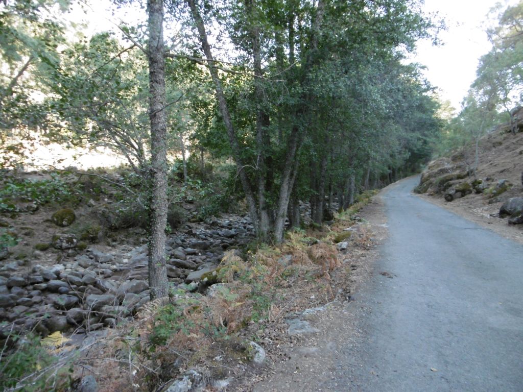 Grandes bolos en el lecho de la reserva natural fluvial Garganta Iruelas