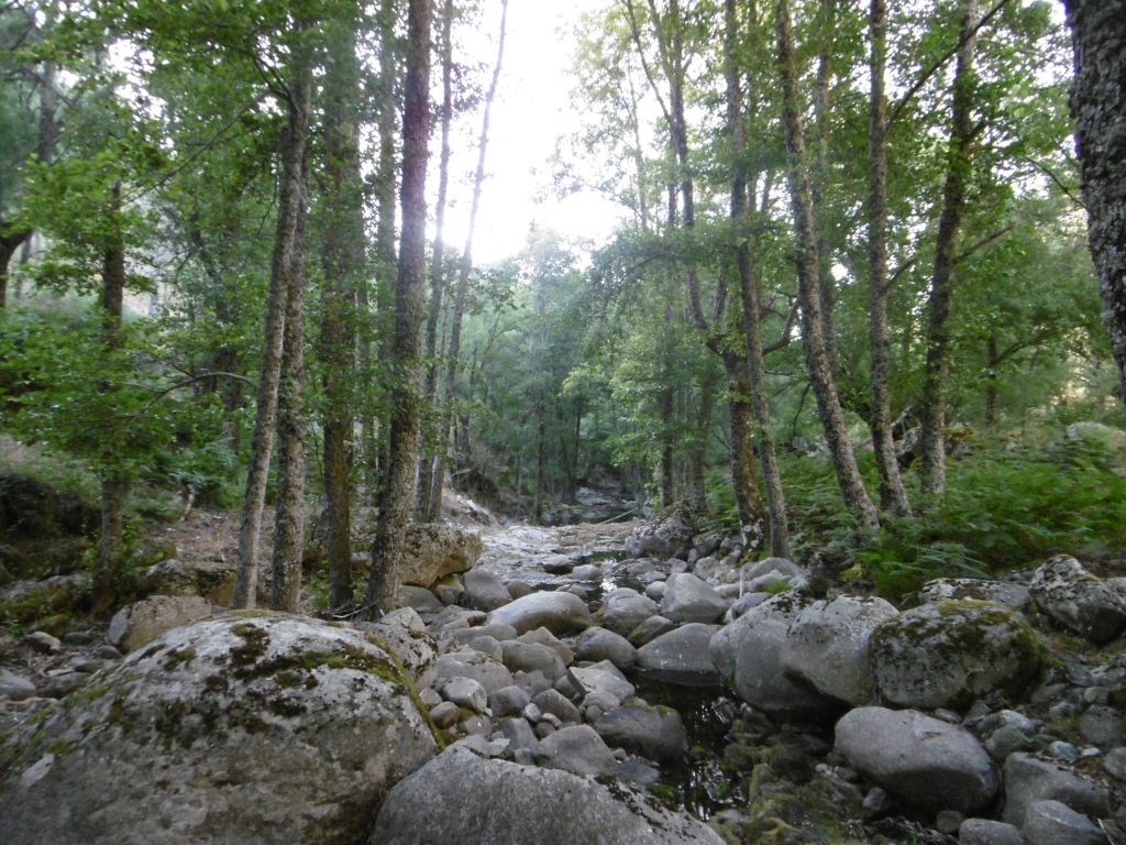 Cauce de la reserva natural fluvial Garganta Iruelas en el periodo de estiaje