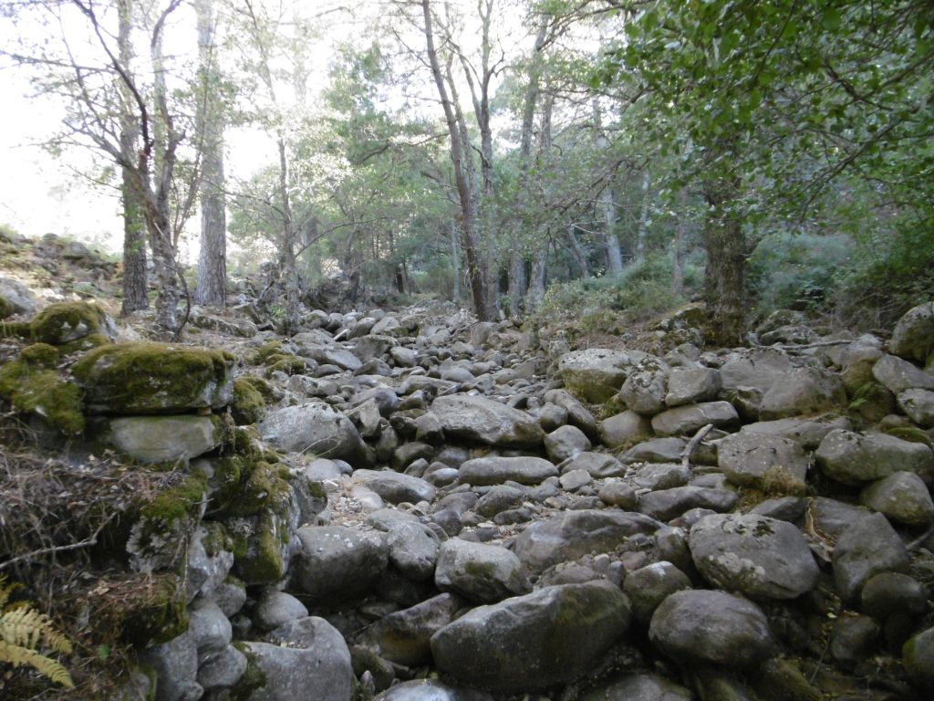 Obra humana mimetizada con la naturaleza en la reserva natural fluvial Garganta Iruelas