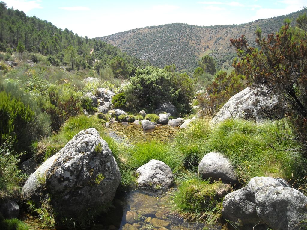 El agua discurre entre grandes bolos en un tramo de la reserva natural fluvial Río Arbillas