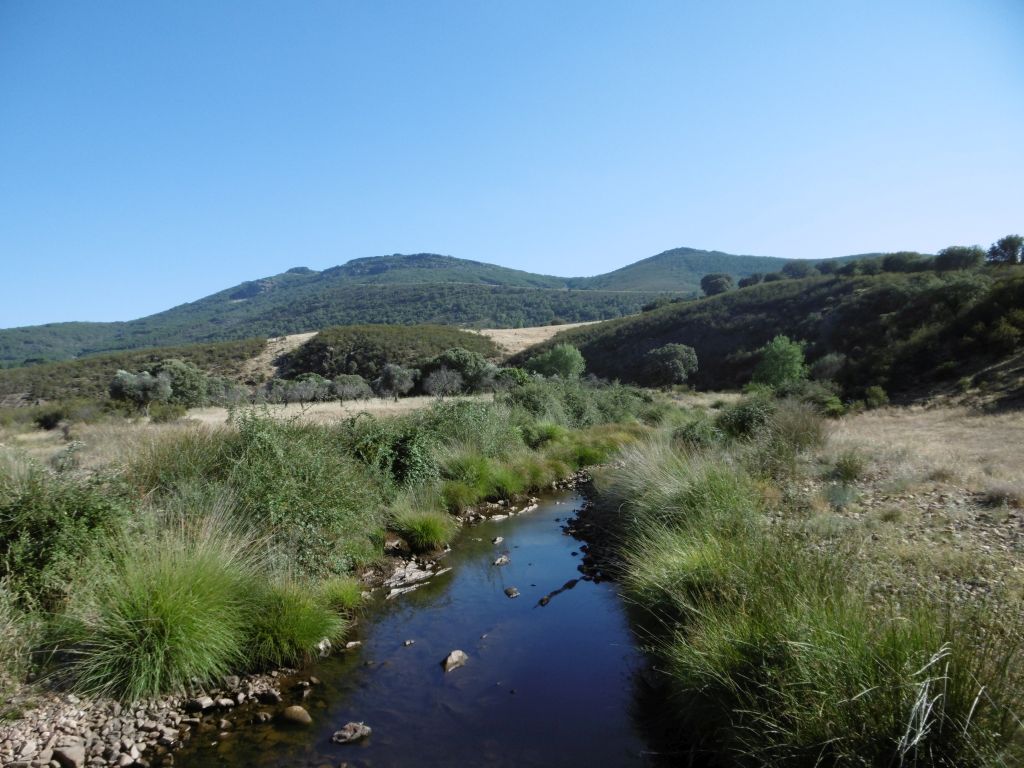 Amplias dehesas en la reserva natural fluvial río Gévalo