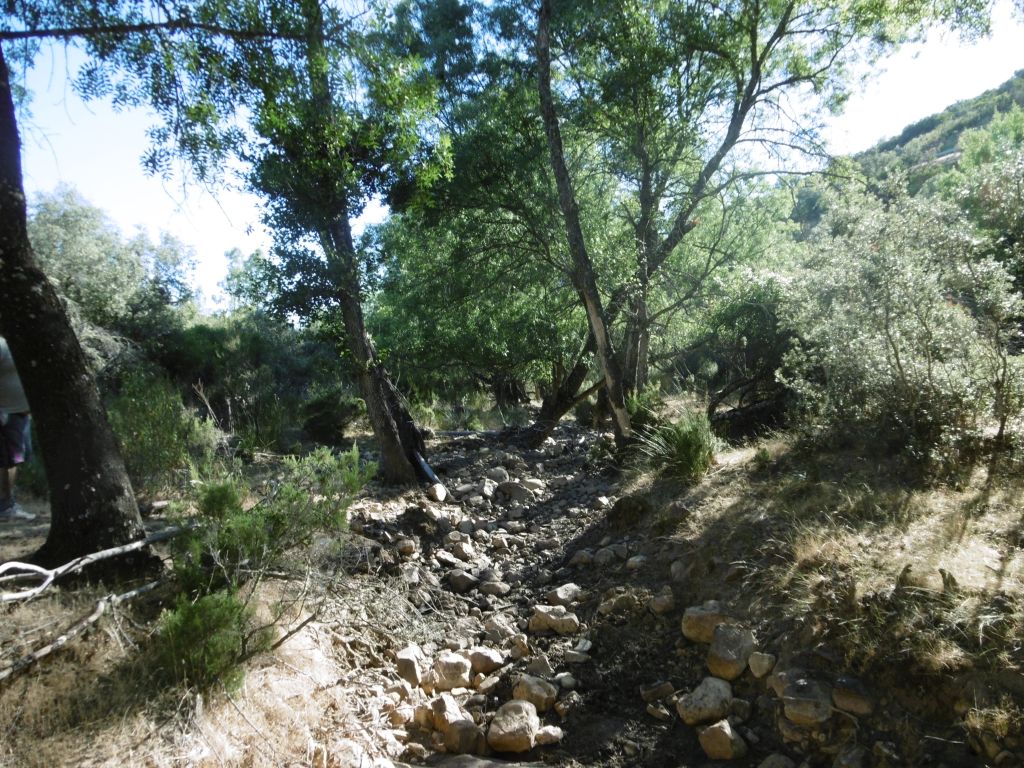 Cauce en época de estiaje de la reserva natural fluvial Río Mesto