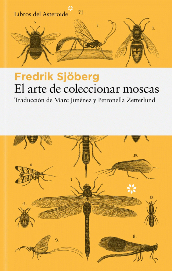 El arte de coleccionar moscas