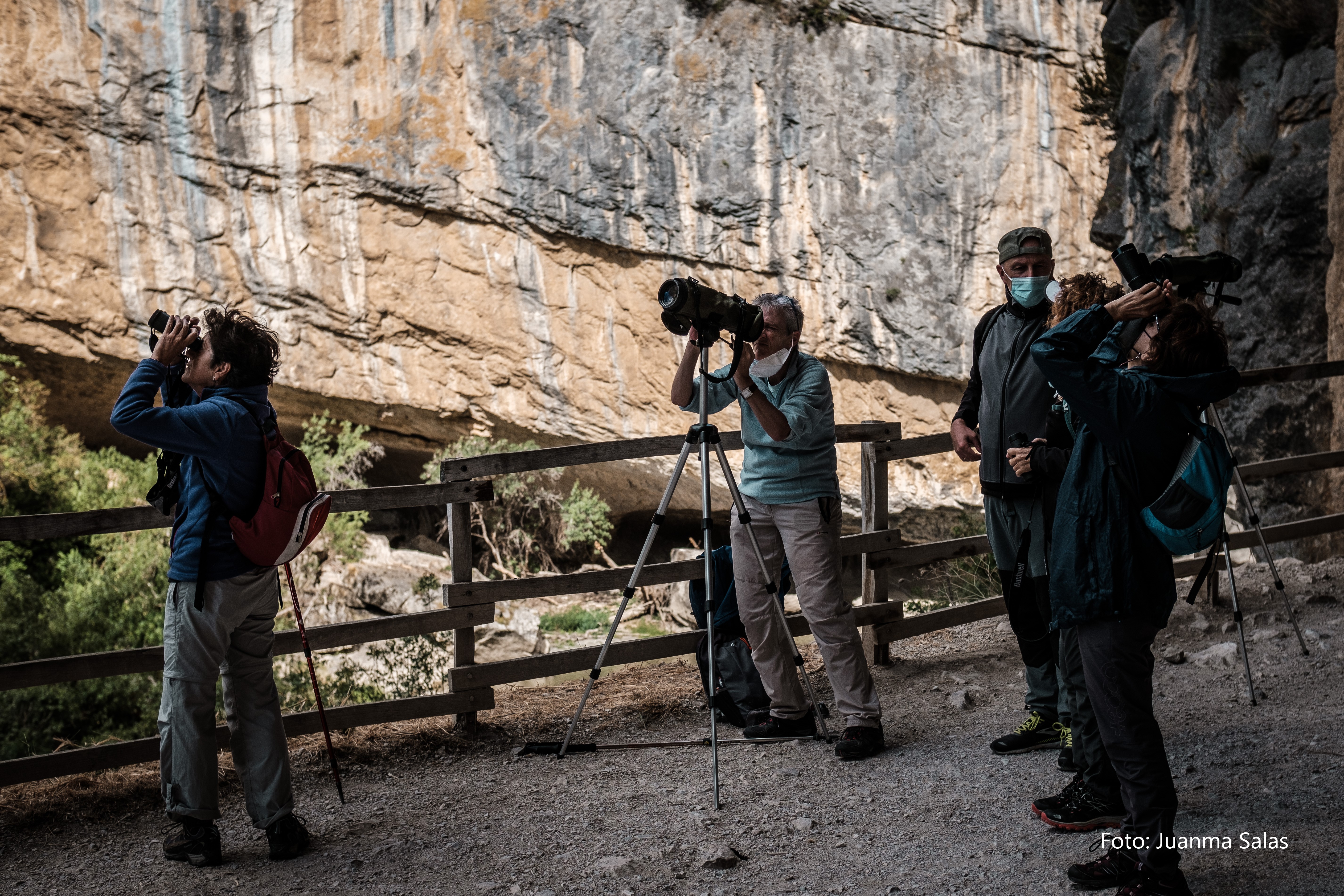 Observación de aves en la Foz de Lumbier, Navarra.	Juanma Salas