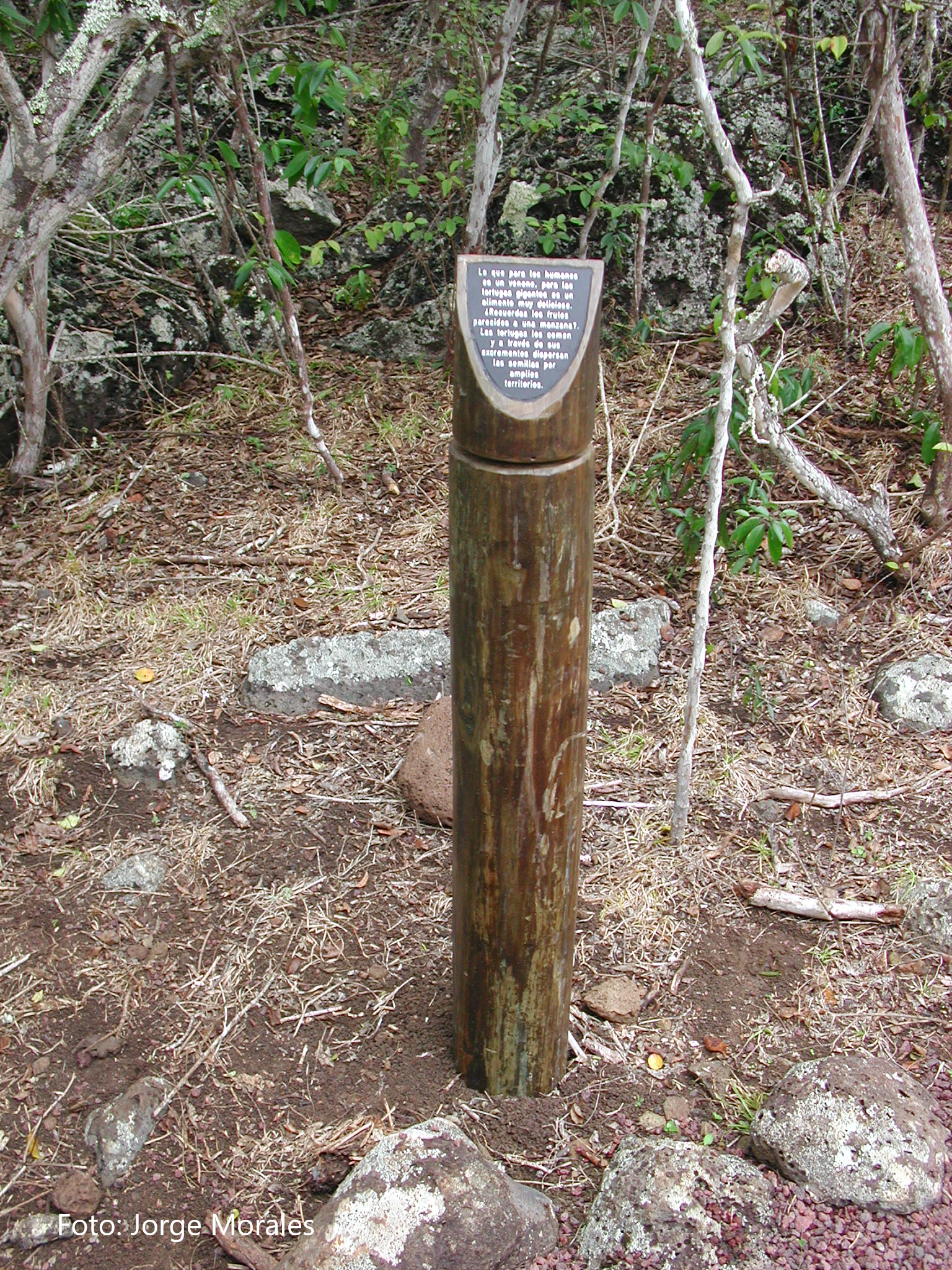 Poste en un sendero de Islas Galápagos.	Jorge Morales