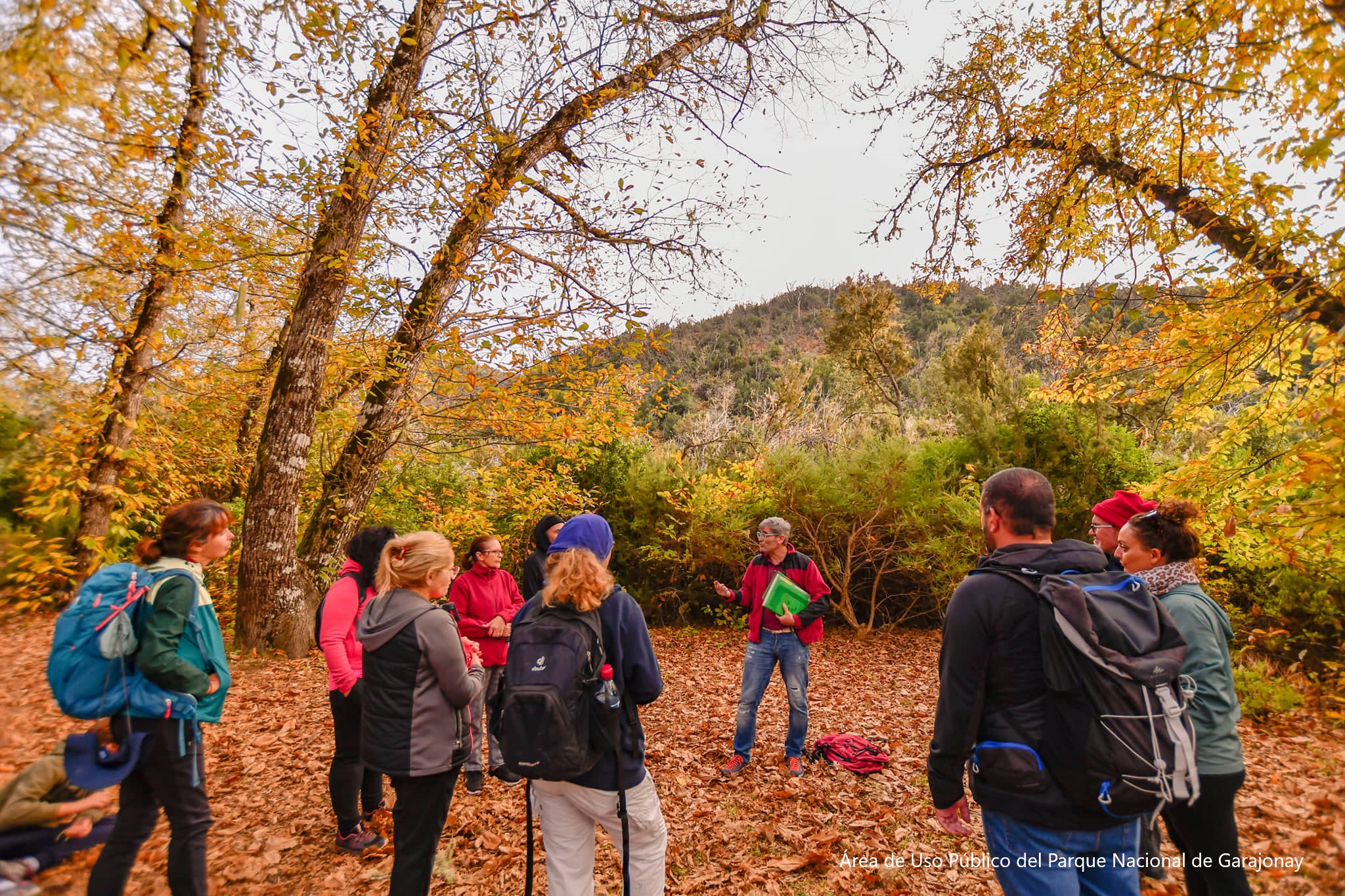 Visita guiada interpretativa en el Parque Nacional de Garajonay.	Área de Uso Público del Parque Nacional de Garajonay