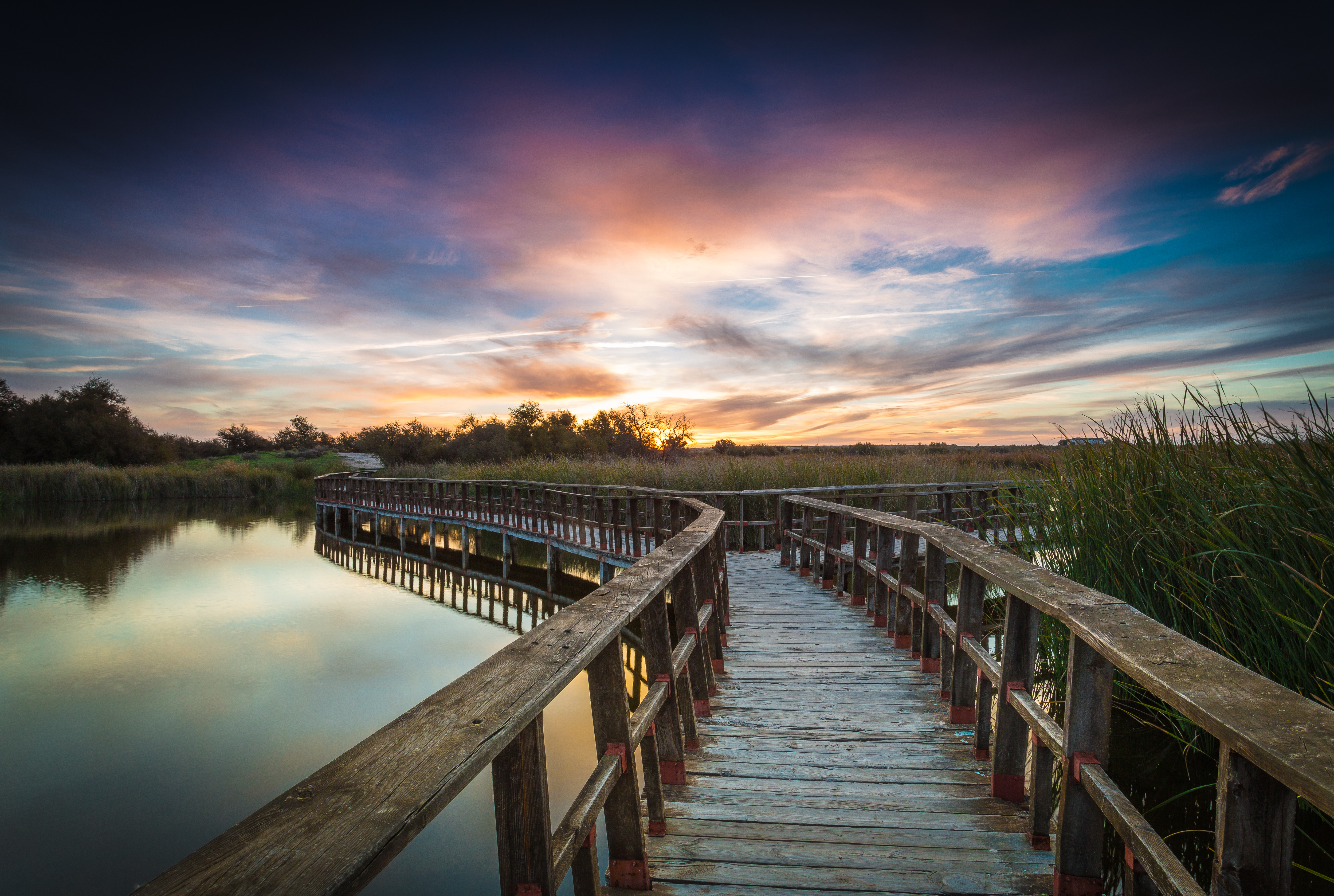 Las Tablas de Daimiel