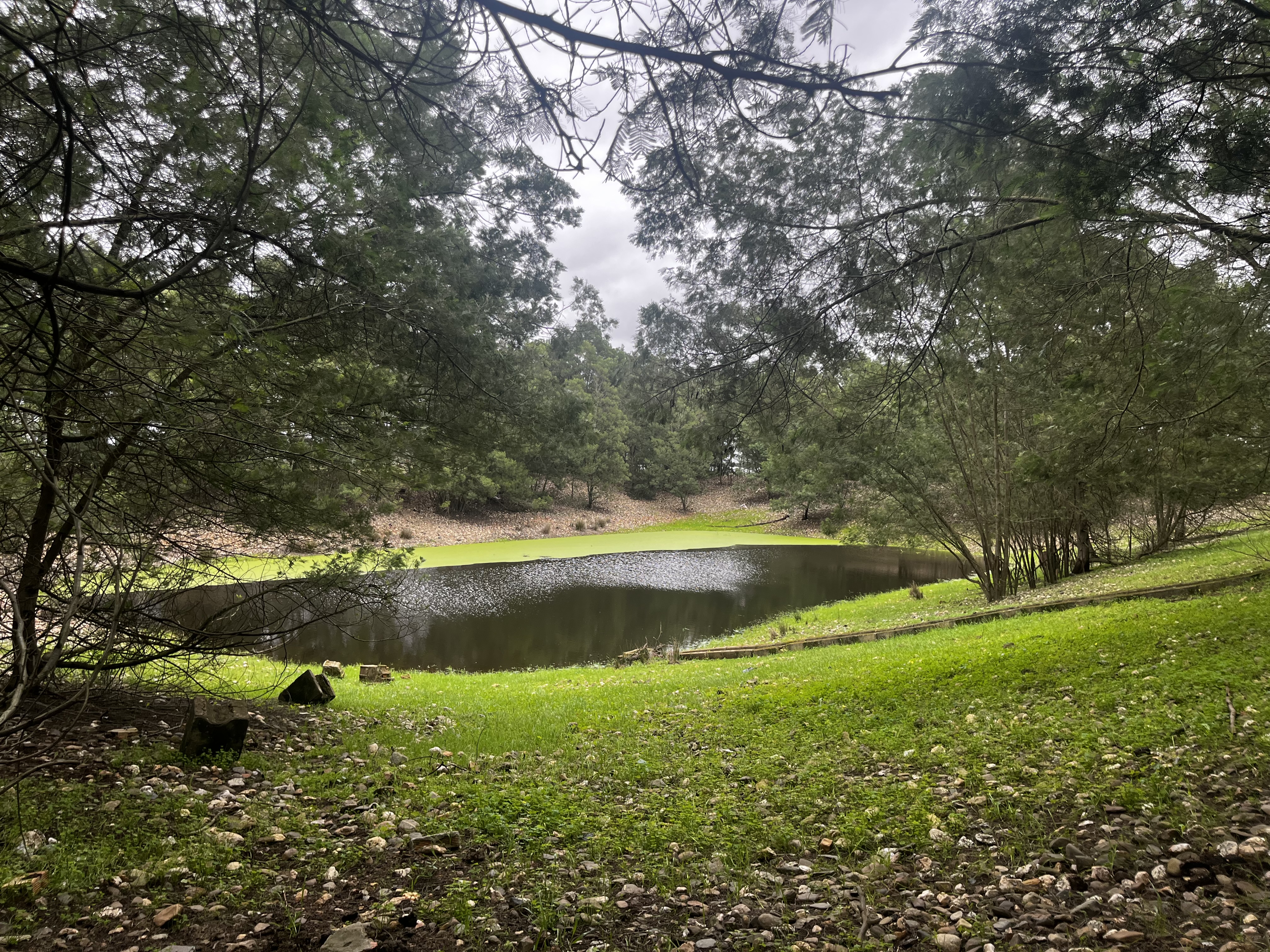 Balsa de la finca Los Mimbrales