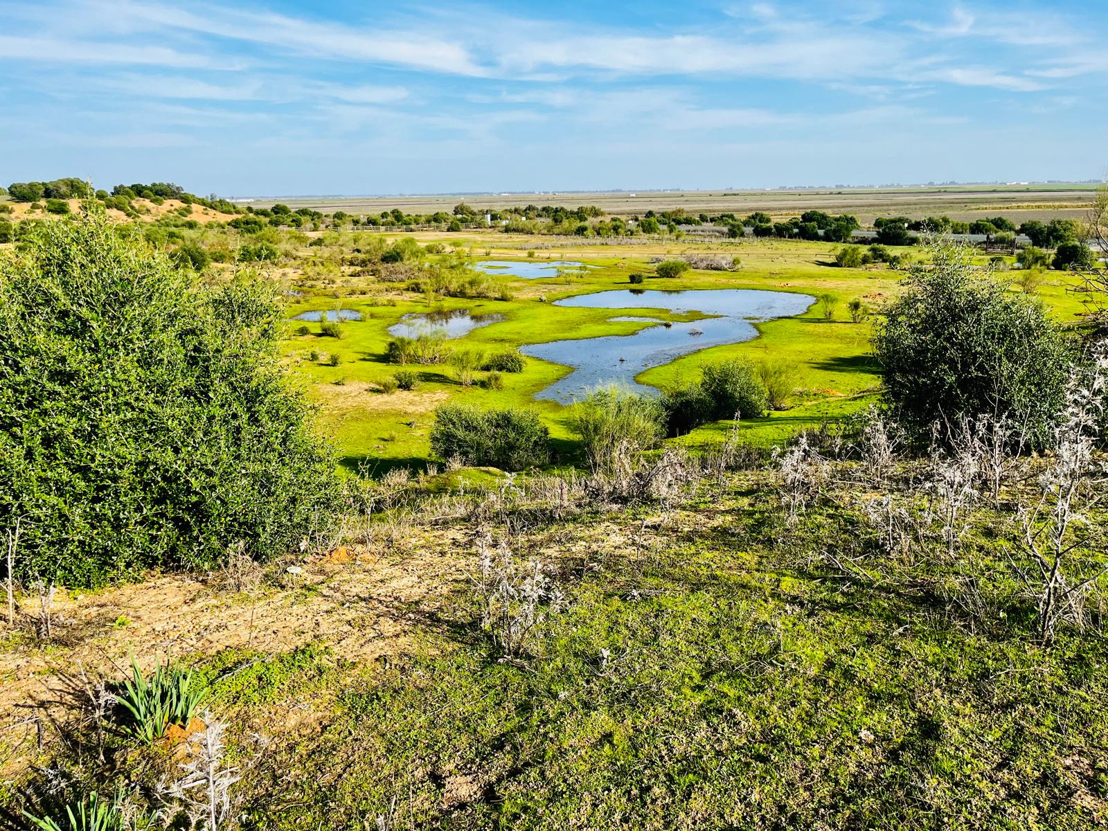 Reserva Natural Dehesa de Abajo