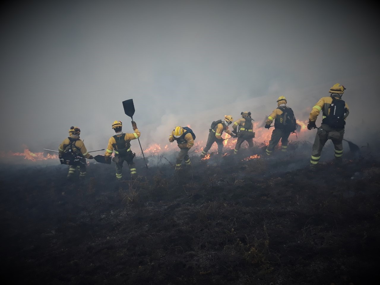 Las Brigadas De Refuerzo En Incendios Forestales (BRIF) Del Ministerio