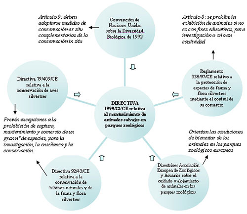 Antecedentes de la Directiva 1999/22/CE, relativa al mantenimiento de animales salvajes en parques zoológicos Autora: Myriam Rodríguez-Guerra, 2006