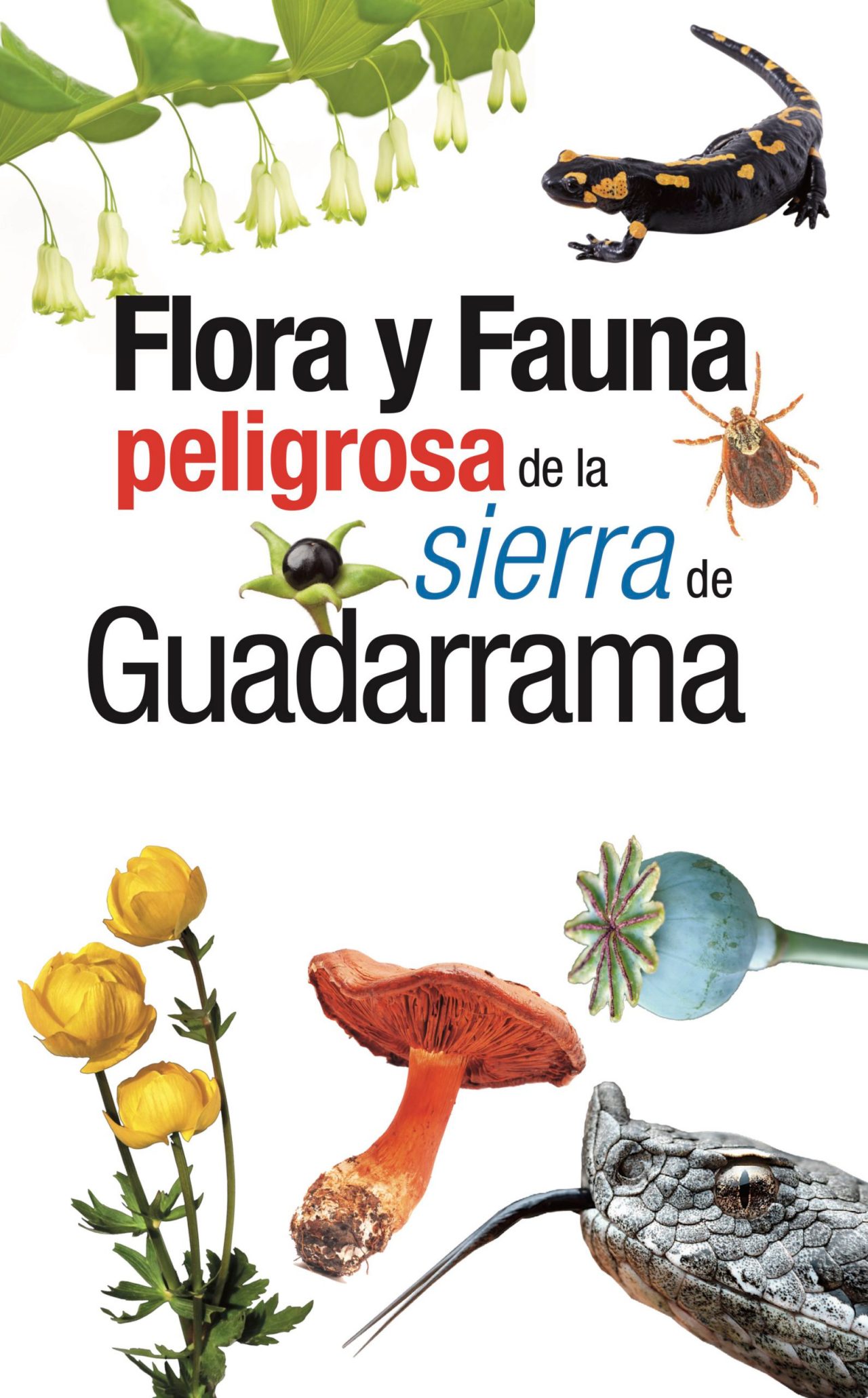 Flora y fauna peligrosa de la sierra de Guadarrama