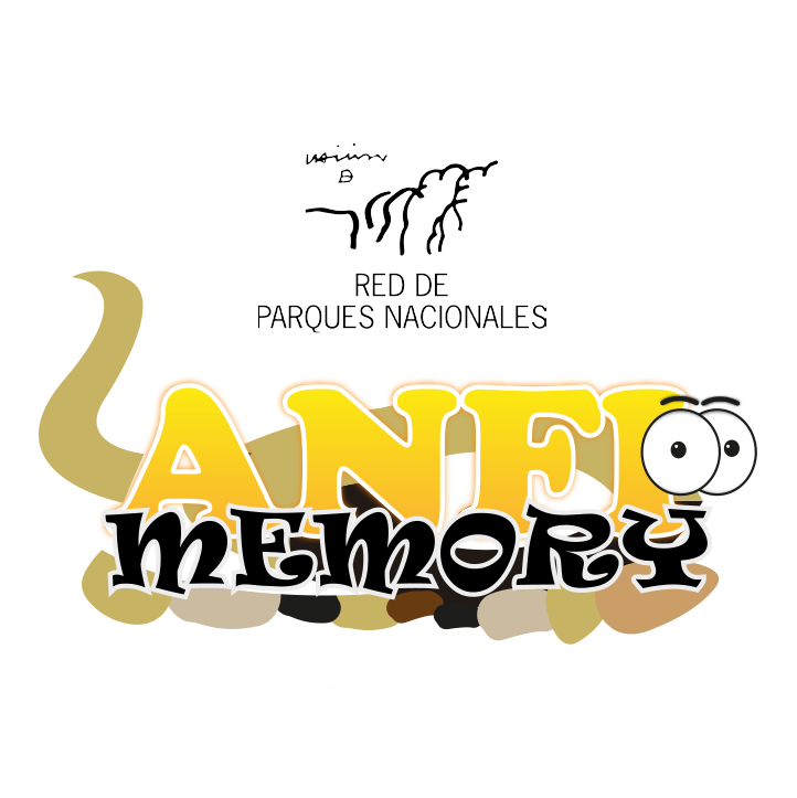 Anfimemory
