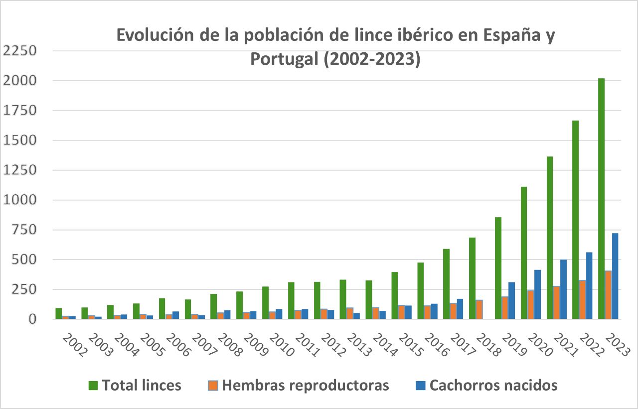 Gráfico evolución de la población de lince ibérico