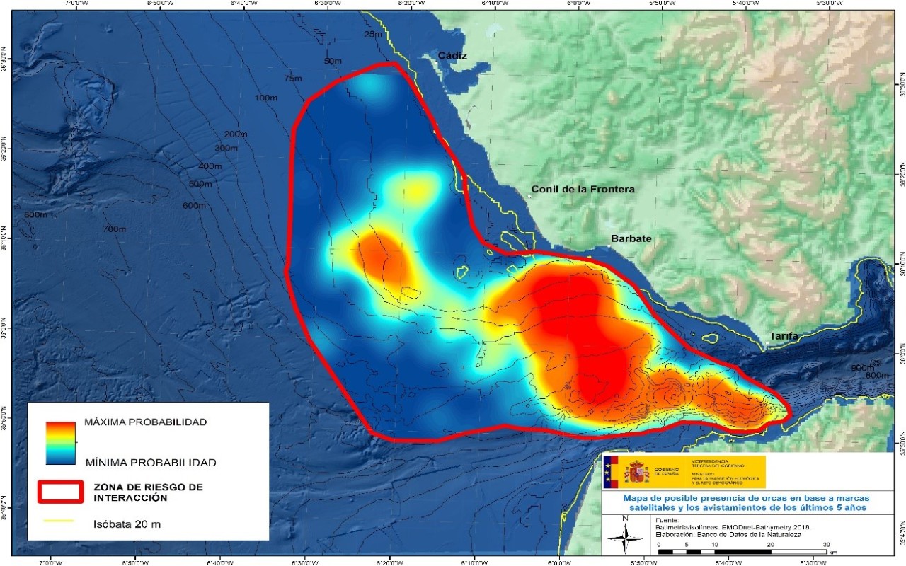 Mapa de posible presencia de orcas en base a marcas satelitales y los avistamientos de los últimos 5 años en el Golfo de Cádiz.